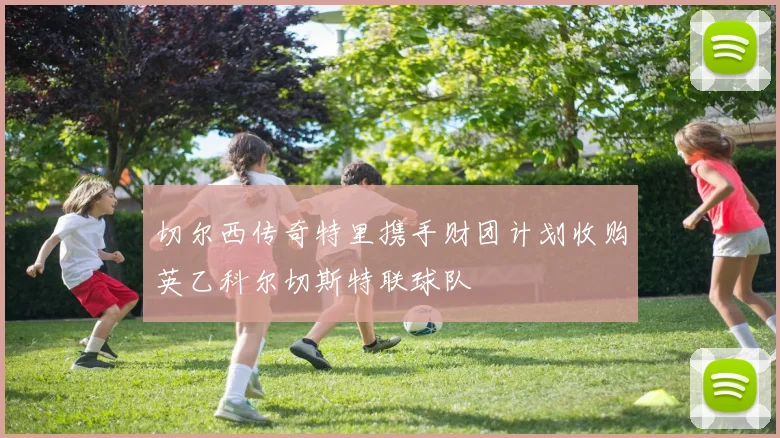 切尔西传奇特里携手财团计划收购英乙科尔切斯特联球队