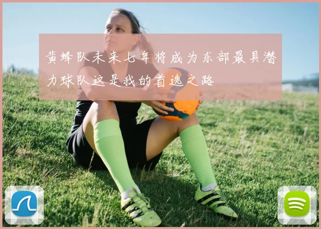 黄蜂队未来七年将成为东部最具潜力球队这是我的首选之路